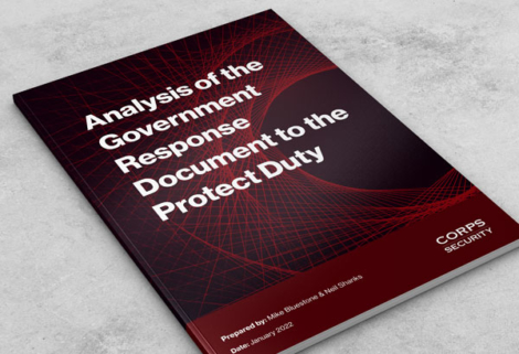 Analysis of the Government Response Document to the Protect Duty