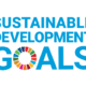 Corps Stands By The U.N. 17 Sustainable Development Goals – Will You?